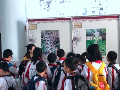 研习竹编技艺,传承非遗文化--更生学校小学部2019秋季研学之旅 第一小学校