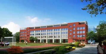 2019年雏鹰实验小学第一小学校一年级新生入学须知