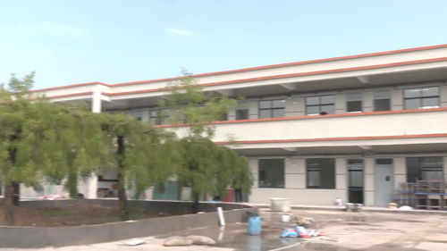 砀城第一小学教育集团杨庙校区正式启用，优质教育资源惠及更多学子