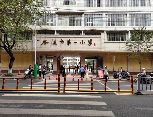 岑溪市第一小学 培育英才的摇篮，传承文明的基石